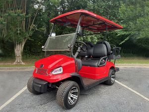 naples golf cart repair, golf cart service, mobile repair